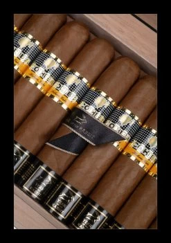 Cohiba - Siglo De Oro - Year Of The Rabbit - Single Cigar -Smoking Accessories And Cigarettes Cohiba Siglo de Oro 08 66145.1695898384.1280.1280