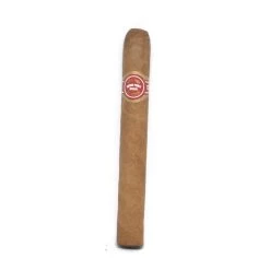 Arturo Fuente - Brevas Royale - Single Cigar