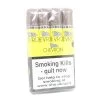Chevron - Short Corona - Bundle Of 4 Cigars -Smoking Accessories And Cigarettes chevron short corona cigar 1 63808.1567017503.1280.1280